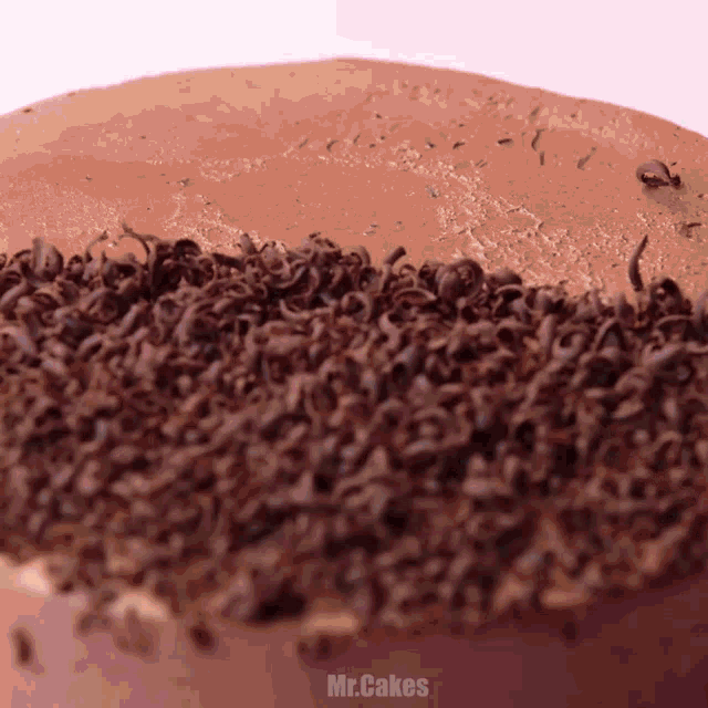 a close up of a cake with chocolate sprinkles and the words mr.cakes on the bottom