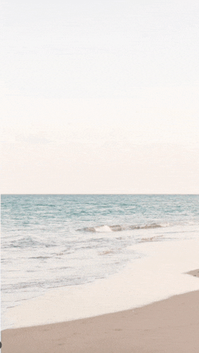 a beach with the ocean in the background