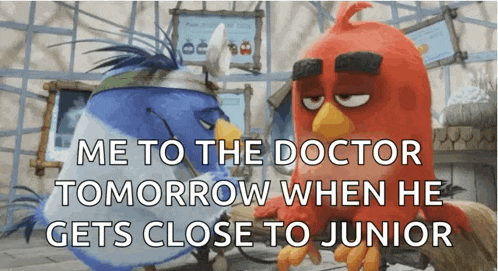 two angry birds are talking to each other with the caption me to the doctor tomorrow when he gets close to junior