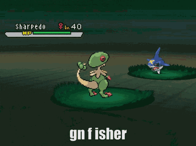 Gn Fisher Fisher GIF - Gn Fisher Fisher Gn Gc GIFs