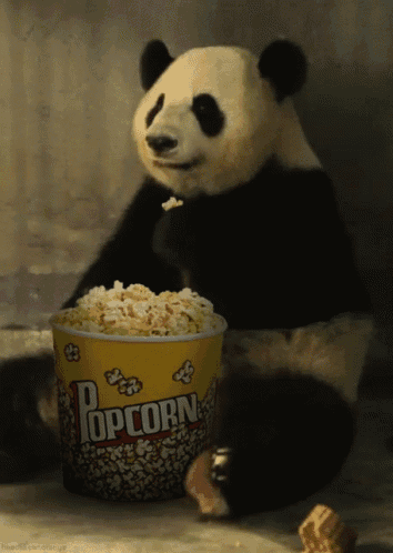 a panda bear eating popcorn from a bucket