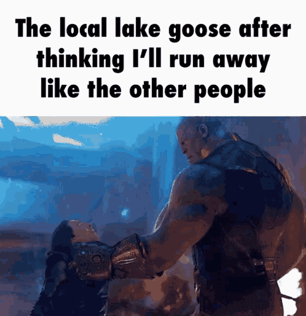 Goose Thanos GIF - Goose Thanos Meme GIFs