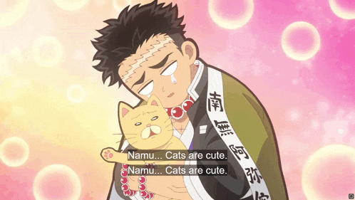 a cartoon of a man holding a cat with the words " cats are cute "