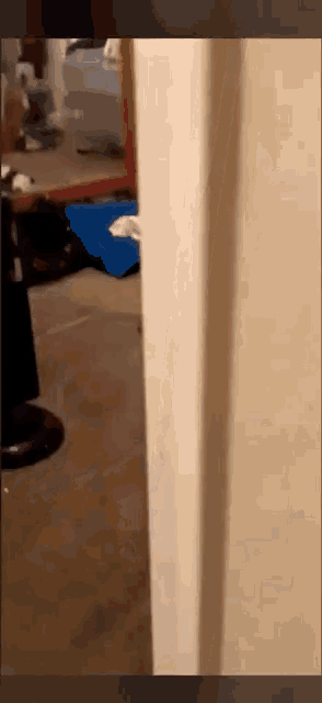 a person is standing in a room next to a door and a mirror .