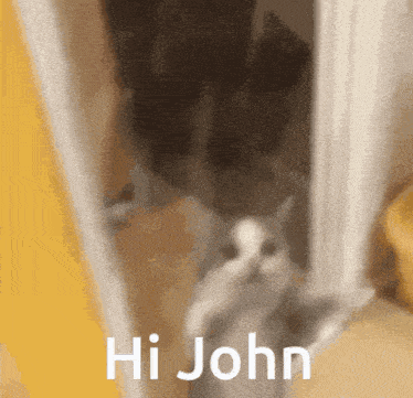 John Hi GIF - John Hi Meow GIFs