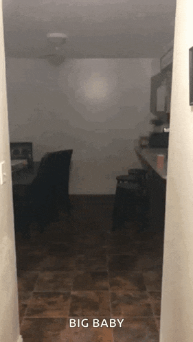 a picture of a kitchen with the words big baby on the bottom right