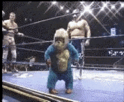 a gorilla is dancing in a wrestling ring while two men are standing behind him .