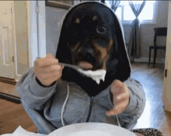 Comelon How I Eat GIF - Comelon How I Eat Cute Dog GIFs