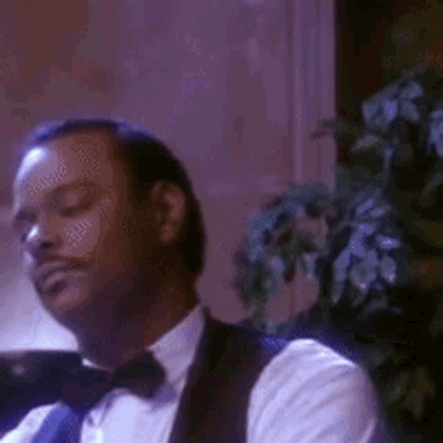 a man wearing a tuxedo and bow tie is sitting in front of a plant .
