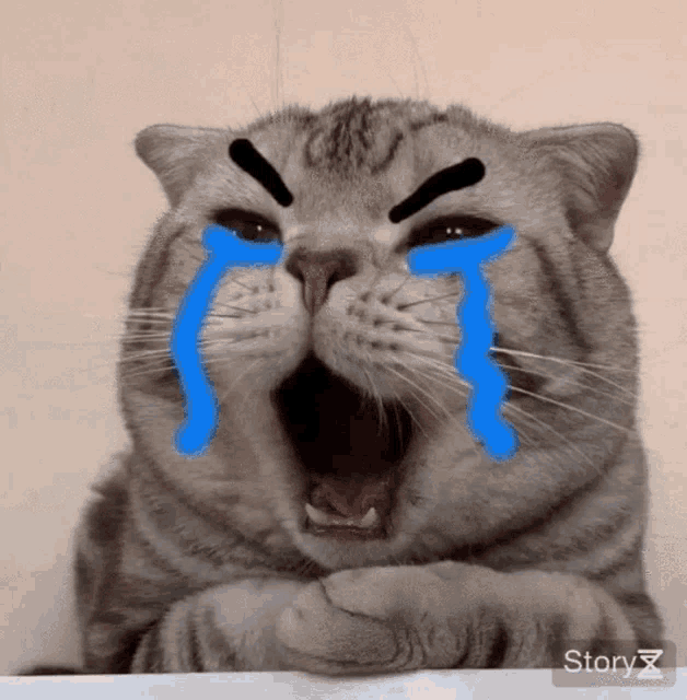 a cat is crying with tears coming out of its eyes and the word story is on the bottom