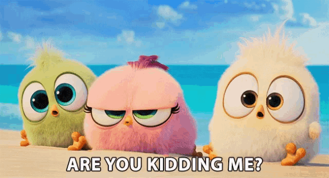 three stuffed birds are sitting on a beach with the words " are you kidding me " below them