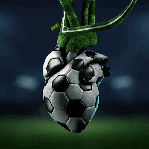 a heart made out of soccer balls with a green and white stripe on it