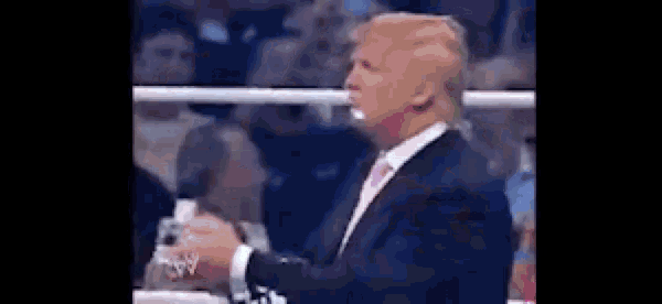 donald trump is sitting in the stands at a boxing match .