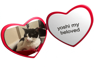 a heart shaped mirror with a picture of a cat and the words yoshi my beloved on it
