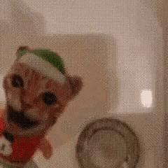 a cat wearing a santa hat is standing next to a washing machine .