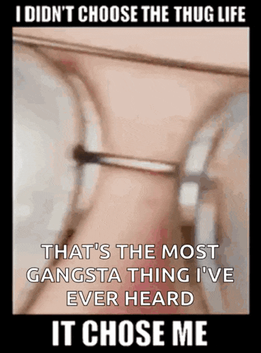 a poster that says i did n't choose the thug life on it