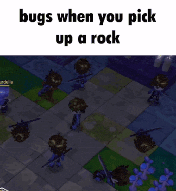 a screenshot of a video game with the words bugs when you pick up a rock at the bottom