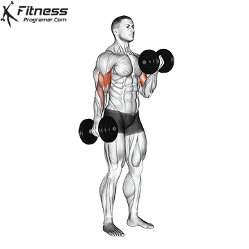 a man is holding a pair of dumbbells in his right hand and a fitness programer.com logo is above him