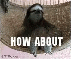 How About No Sloth GIF - How About No Sloth Cute GIFs