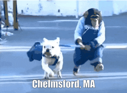 a man is running with a dog that says chelsford ma