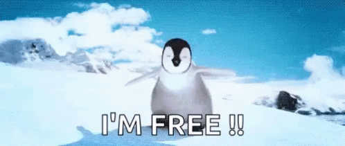 Happy Feet Penguin GIF - Happy Feet Penguin Im Free GIFs