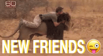 New Friends GIF - New Friends 60minutes Lion GIFs