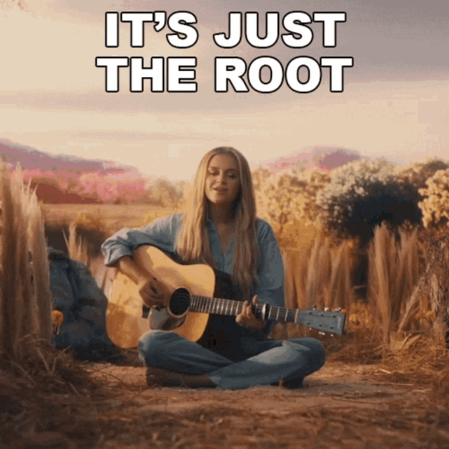 Its Just The Root Of The Thief Of My Joy Kelsea Ballerini GIF - Its Just The Root Of The Thief Of My Joy Kelsea Ballerini What I Have Song GIFs