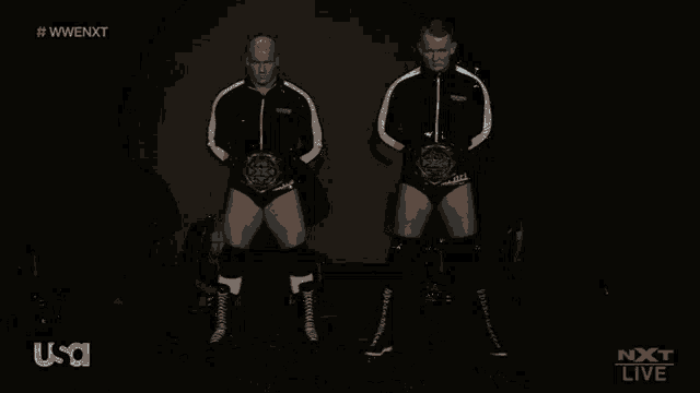 two wrestlers standing next to each other with a usa logo in the lower right corner