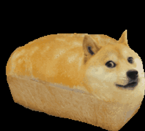 a dog that looks like a loaf of bread with a black background
