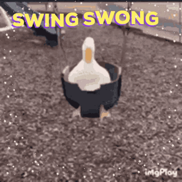 Swing Swong GIF - Swing Swong GIFs