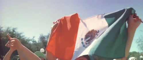 Mexican Flag Flag GIF - Mexican Flag Flag Mexican GIFs