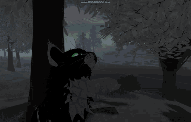 a cat with green eyes is standing next to a tree in a dark forest