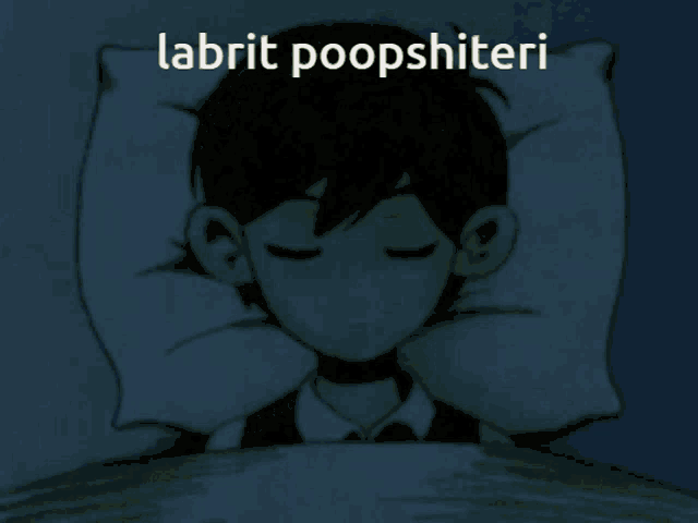 a picture of a boy sleeping with the words labrit poopshieri written above him
