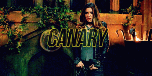 Dinah Laurel Black Canary GIF - Dinah Laurel Black Canary Team Arrow GIFs