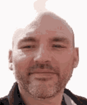 a bald man with a beard and mustache is smiling for the camera .