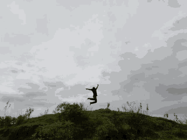 Birdman Birds GIF