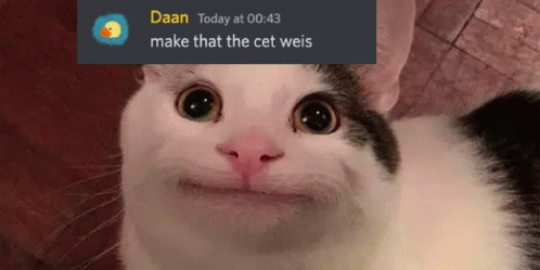 Cat Daanplugge GIF - Cat Daanplugge Make That The Cet Weis GIFs
