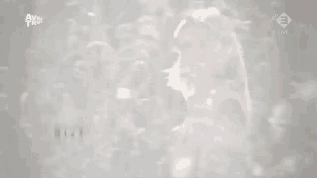 a woman in a white dress is surrounded by flowers and the word nijs is on the bottom