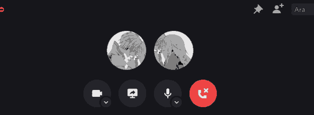 a screen shot of a video call with a red button that says " ara "
