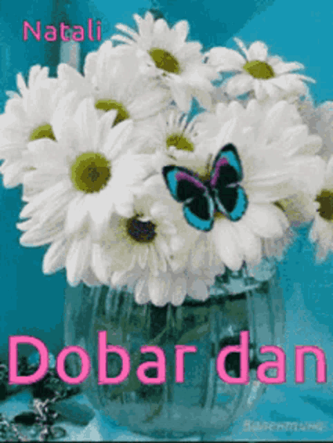 a bouquet of daisies in a vase with a butterfly and the words dobar dan