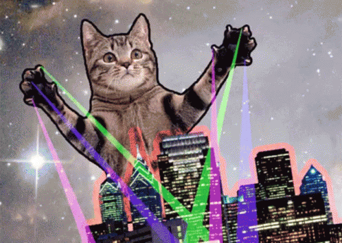 宇宙猫　猫の日　可愛い猫 GIF - Space Cat GIFs