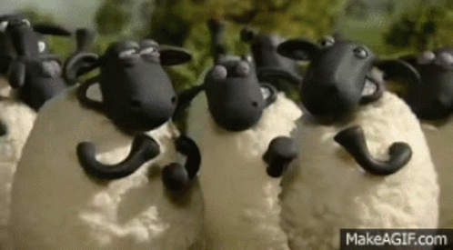Sheep Sheeple GIF - Sheep Sheeple Shawn The Sheep GIFs
