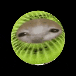 a kiwi with a dog 's face on it