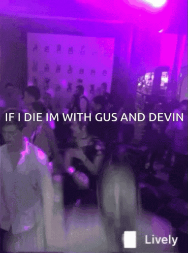 Gus Devin GIF - Gus Devin Murder Mystery GIFs