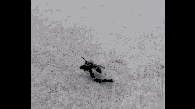 a person is walking on a snow covered surface .
