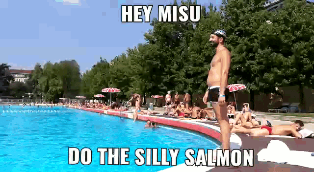 Silly Salmon Salmon GIF - Silly Salmon Salmon Misu GIFs