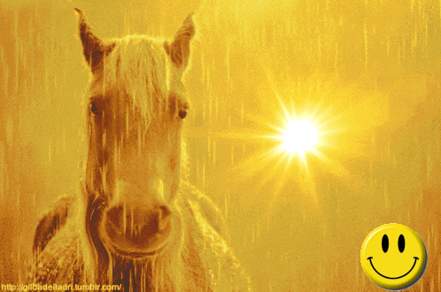 a picture of a horse with a smiley face on it