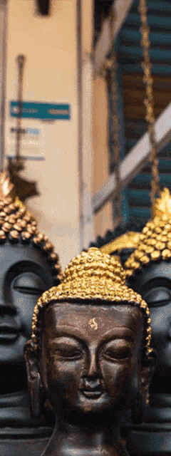 a row of buddha statues are lined up in a row