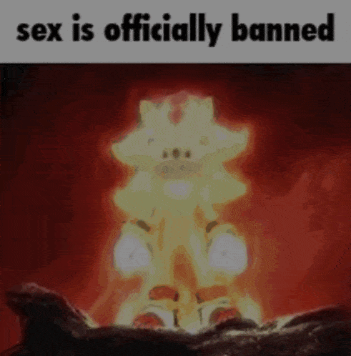 a picture of a cartoon character that says ' sex is officially banned '