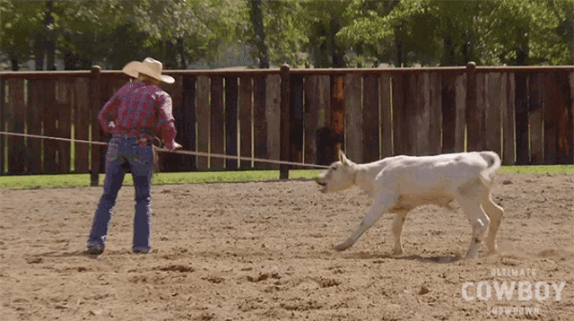 Pushed Back Jennifer Hudgins GIF - Pushed Back Jennifer Hudgins Ultimate Cowboy Showdown Season2 GIFs